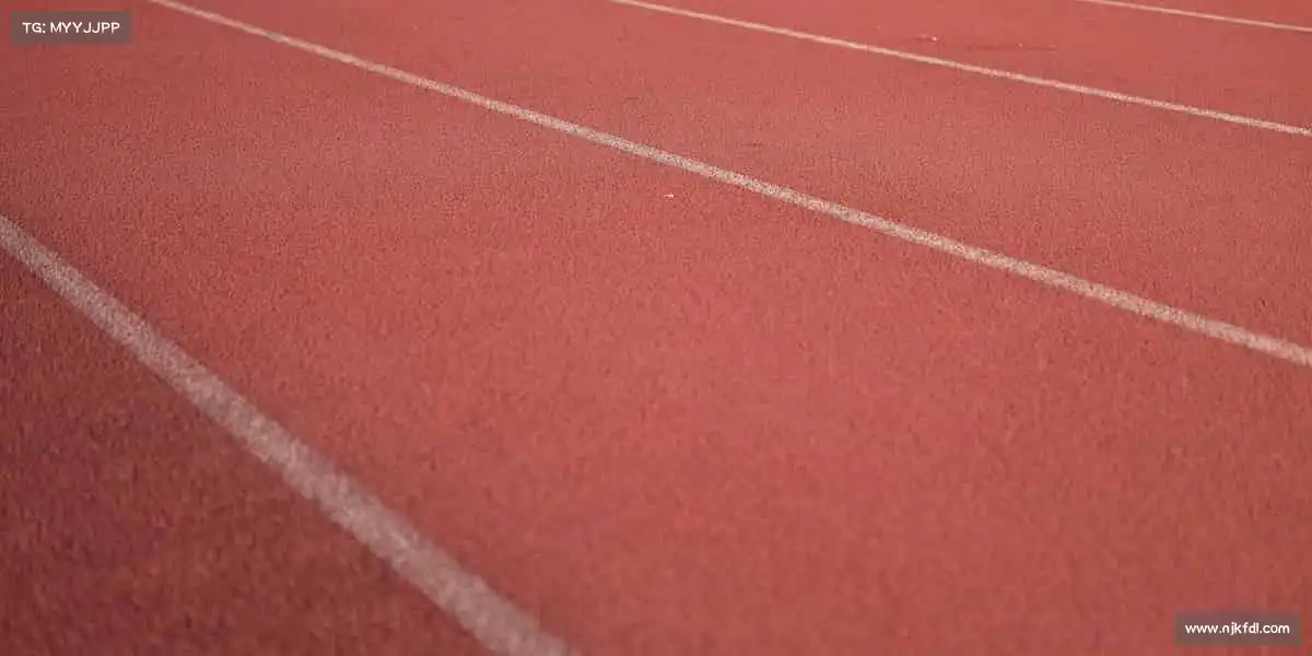 cmp冠军体育——活力无限迸发，共赴体育新热爱！⚽